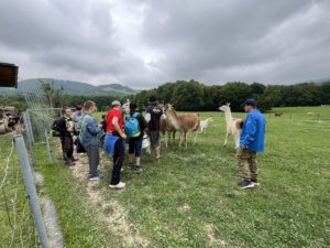 Dnes jsme se třídou E navštívili farmu v Kozlovicích