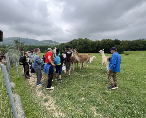 Dnes jsme se třídou E navštívili farmu v Kozlovicích