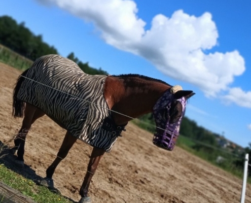 Statek Modrého jednorožce nás přivítal v celé své kráse a rozmanitosti