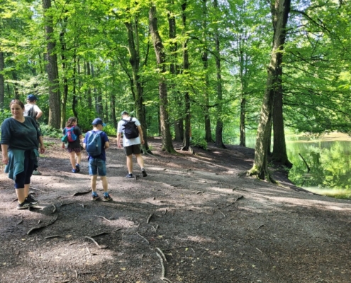 Dnes se třída D vypravila do Bělského lesa