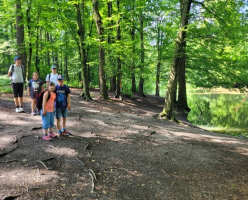 Dnes se třída D vypravila do Bělského lesa