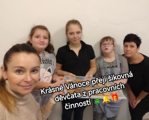 měsíční práce našich šikovných děvčat v předmětu pracovní činnosti